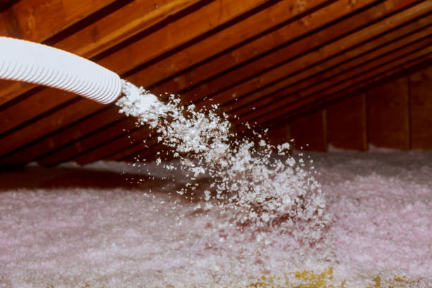 Best DIY Insulation Kits and Guidance in Scotland Neck, NC