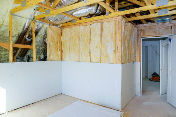 Best Blown-in Insulation in Scotland Neck, NC
