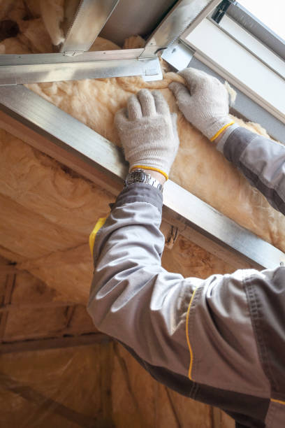 Best Spray Foam Insulation in Scotland Neck, NC