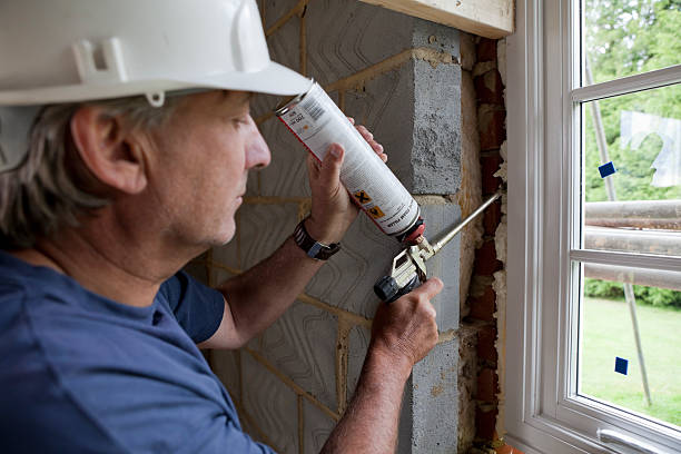 Best Specialized Insulation Services in Scotland Neck, NC